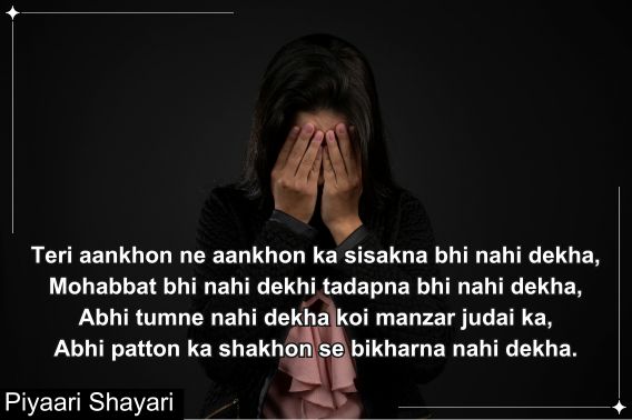 sad-love-shayari-in-english