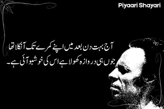 urdu-text-poetry