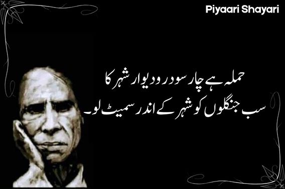 urdu-text-poetry